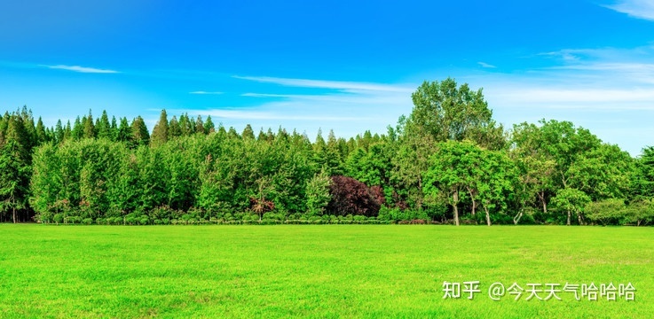 『因为宇宙超过科学知识的范畴，非人类智慧所能窥测』（密 ...464 / 作者:紫色214 / 帖子ID:113348