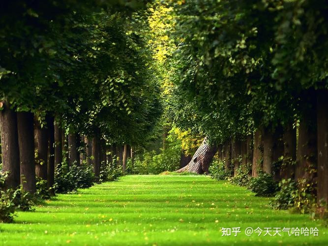 『因为宇宙超过科学知识的范畴，非人类智慧所能窥测』（密 ...805 / 作者:紫色214 / 帖子ID:113348
