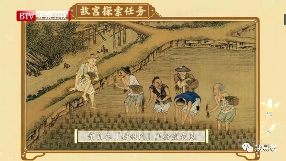 大米文明之路（一）—— 稻米的起源-21.jpg