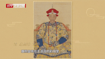 大米文明之路（一）—— 稻米的起源-22.gif