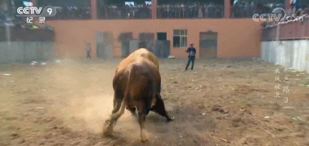 大米文明之路（一）—— 稻米的起源-30.jpg