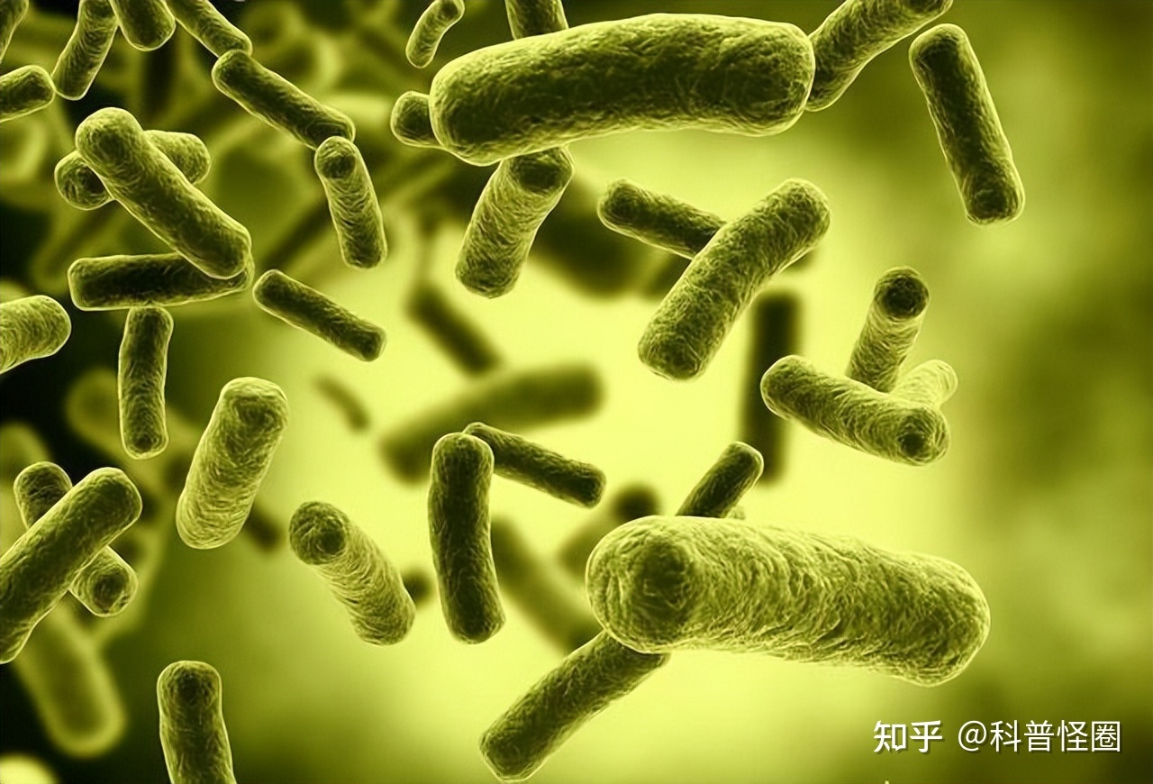 人类是地球主人？科学家发现主人或许另有所指，数量远超 ...560 / 作者:zmhg799417 / 帖子ID:113356