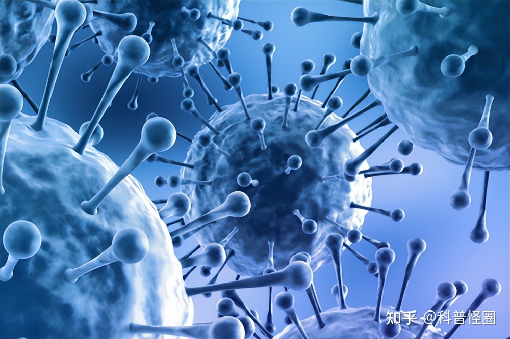人类是地球主人？科学家发现主人或许另有所指，数量远超 ...463 / 作者:zmhg799417 / 帖子ID:113356