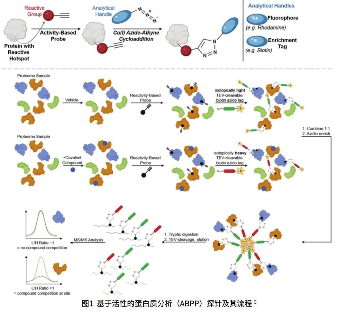 基于蛋白质组学的药物靶点发现新策略812 / 作者:睡鱼 / 帖子ID:113406