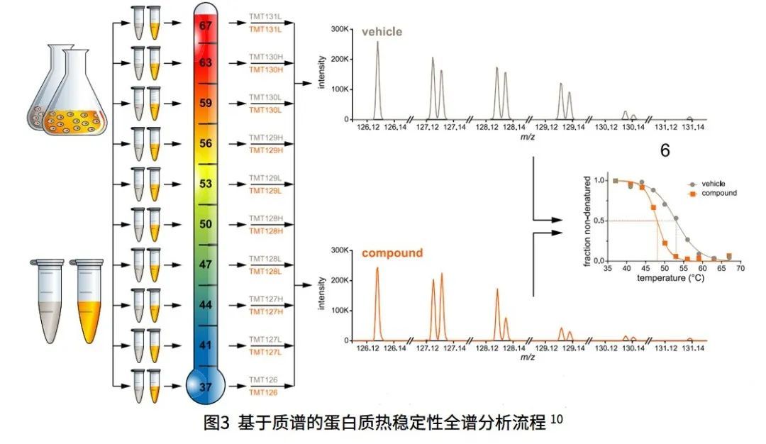 基于蛋白质组学的药物靶点发现新策略384 / 作者:睡鱼 / 帖子ID:113406