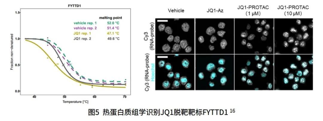 基于蛋白质组学的药物靶点发现新策略995 / 作者:睡鱼 / 帖子ID:113406