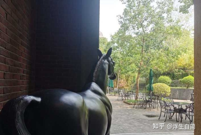 上海有哪些酒店体验过后「逢人就推荐」？569 / 作者:东阿制造 / 帖子ID:113432