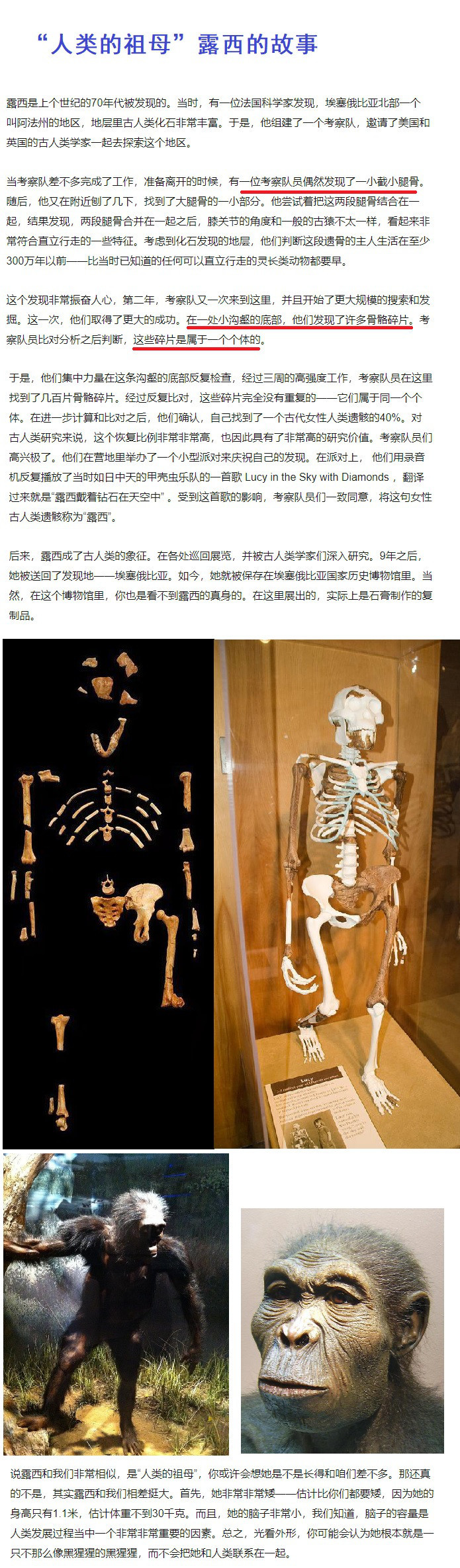历史是任人打扮的小姑娘吗?-127.jpg