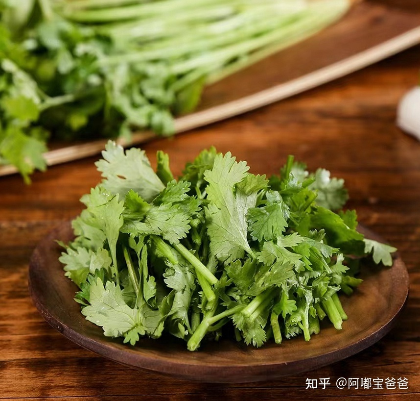 今天是世界讨厌香菜日，人们对香菜「爱憎分明」的原因是 ...108 / 作者:喜欢头像那女纸 / 帖子ID:113539