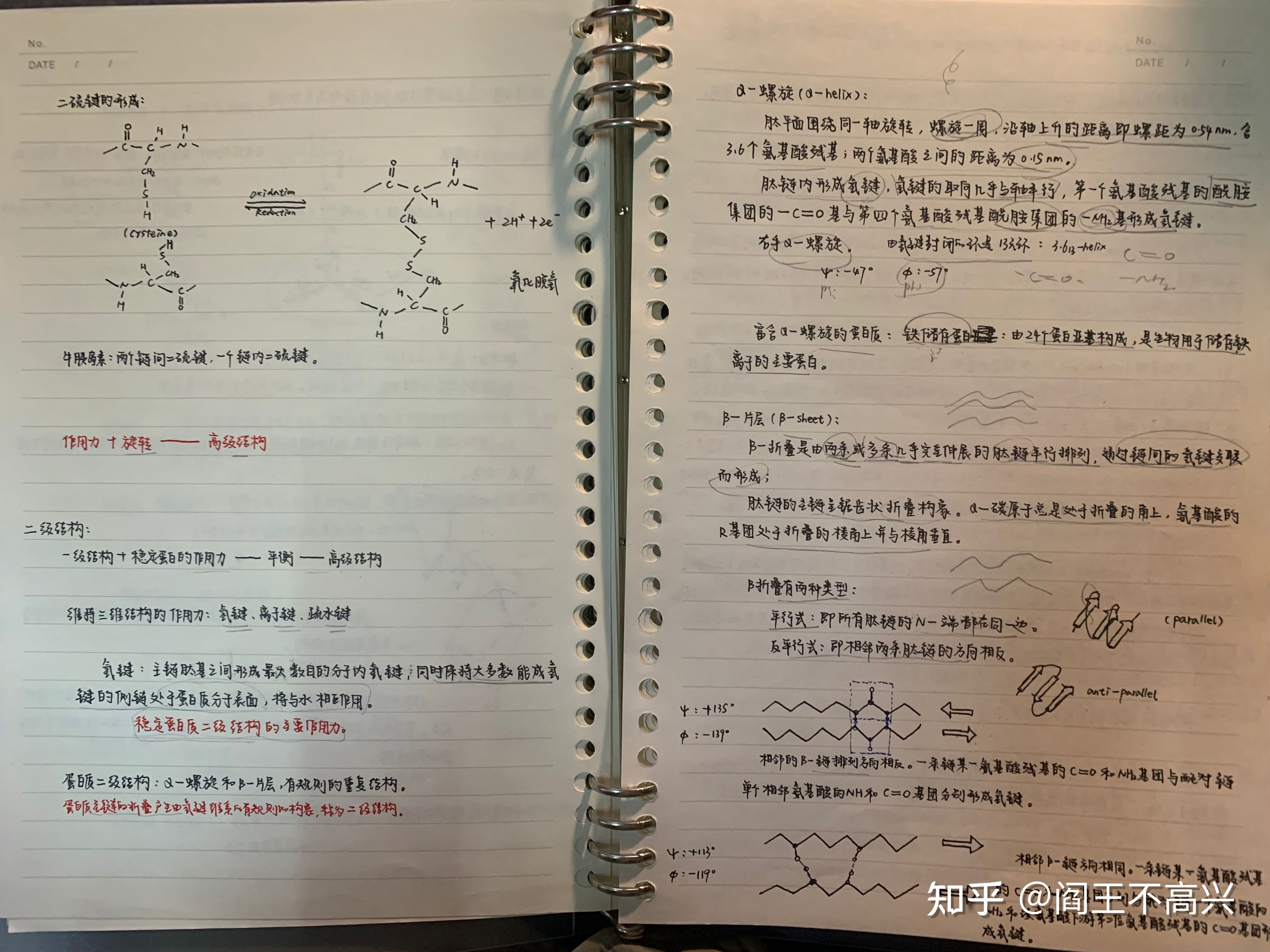 上海交通大学生科院831生物化学 616分子生物学备考经验593 / 作者:胡仔1 / 帖子ID:113568