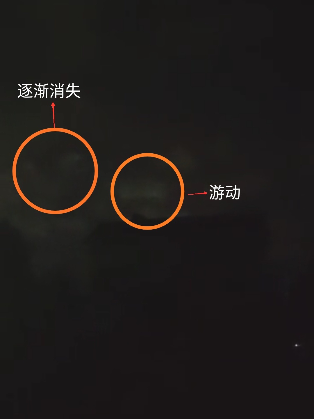 龙是否真的存在过？176 / 作者:昀离936 / 帖子ID:113603