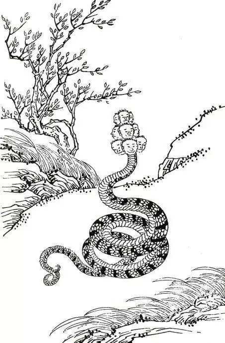 龙是否真的存在过？410 / 作者:13335291348 / 帖子ID:113603