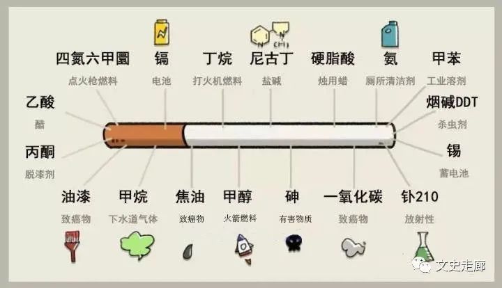 世界无烟日 | 烟草威胁环境 戒烟又添新理由632 / 作者:空城乱人心乱 / 帖子ID:113618
