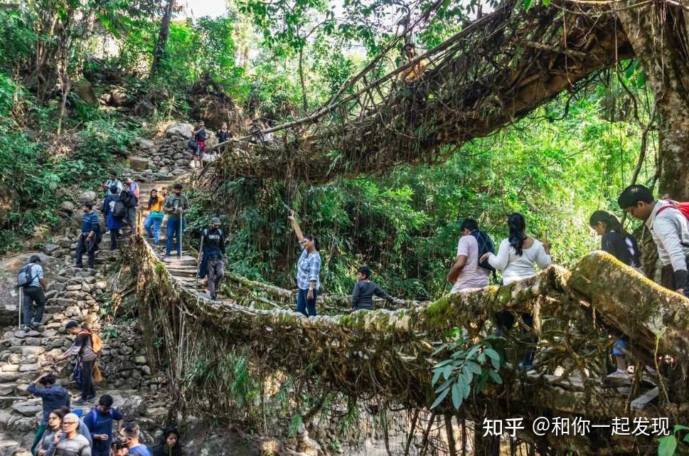 世界上十六座壮观的桥梁,中国占了三座,树根做的桥梁你见过吗 ...134 / 作者:比尔992 / 帖子ID:113757