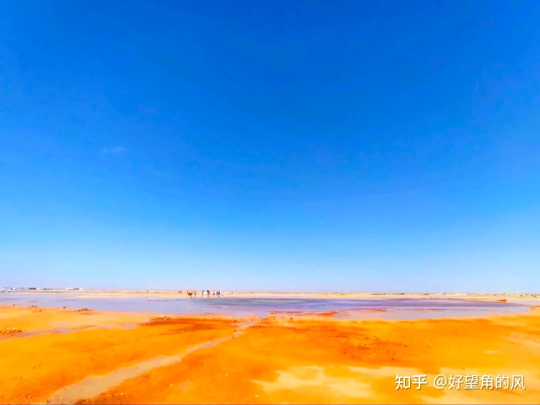 青甘大环线（二）646 / 作者:淡情惜缘缘wt / 帖子ID:113831