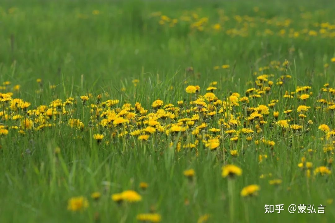 犯错不可怕，可怕的是在错误的道路上越走越远615 / 作者:天之涯神之兵米 / 帖子ID:113844