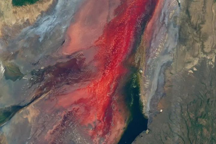 2021年世界十大最危险的地方731 / 作者:123457865 / 帖子ID:113849