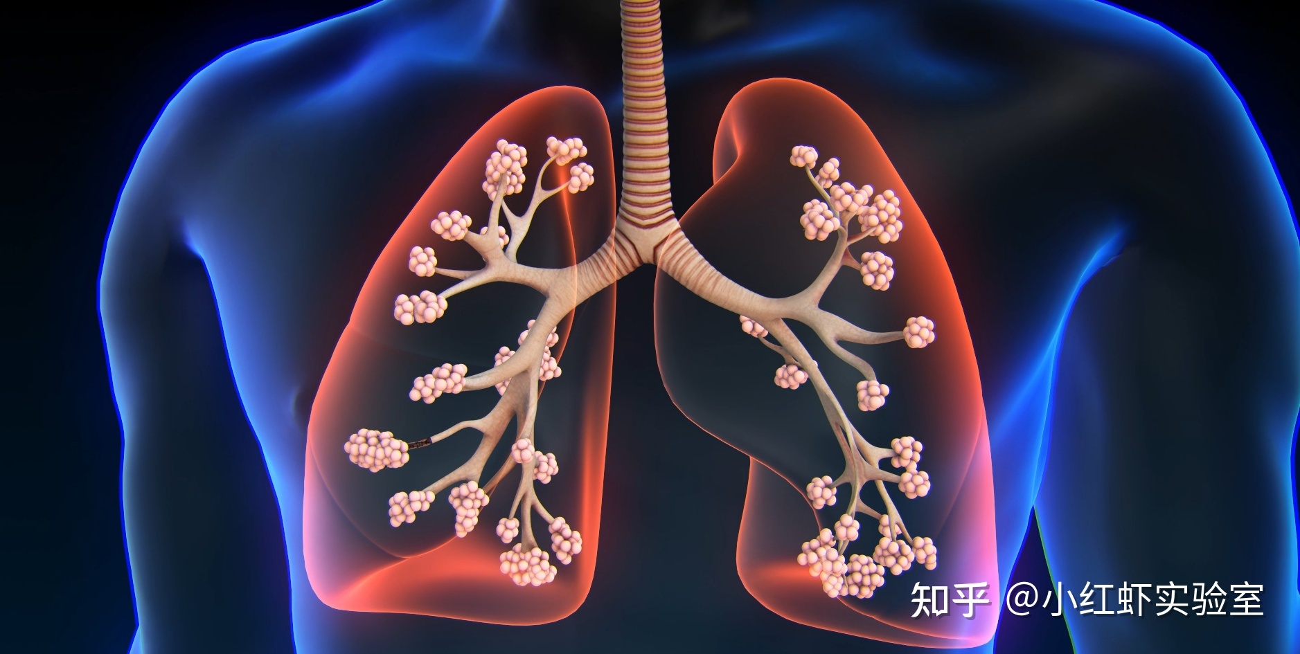 宇宙密码：科学家发现神秘图形，或隐藏着生命的终极法则 ...165 / 作者:蠕行者 / 帖子ID:113889