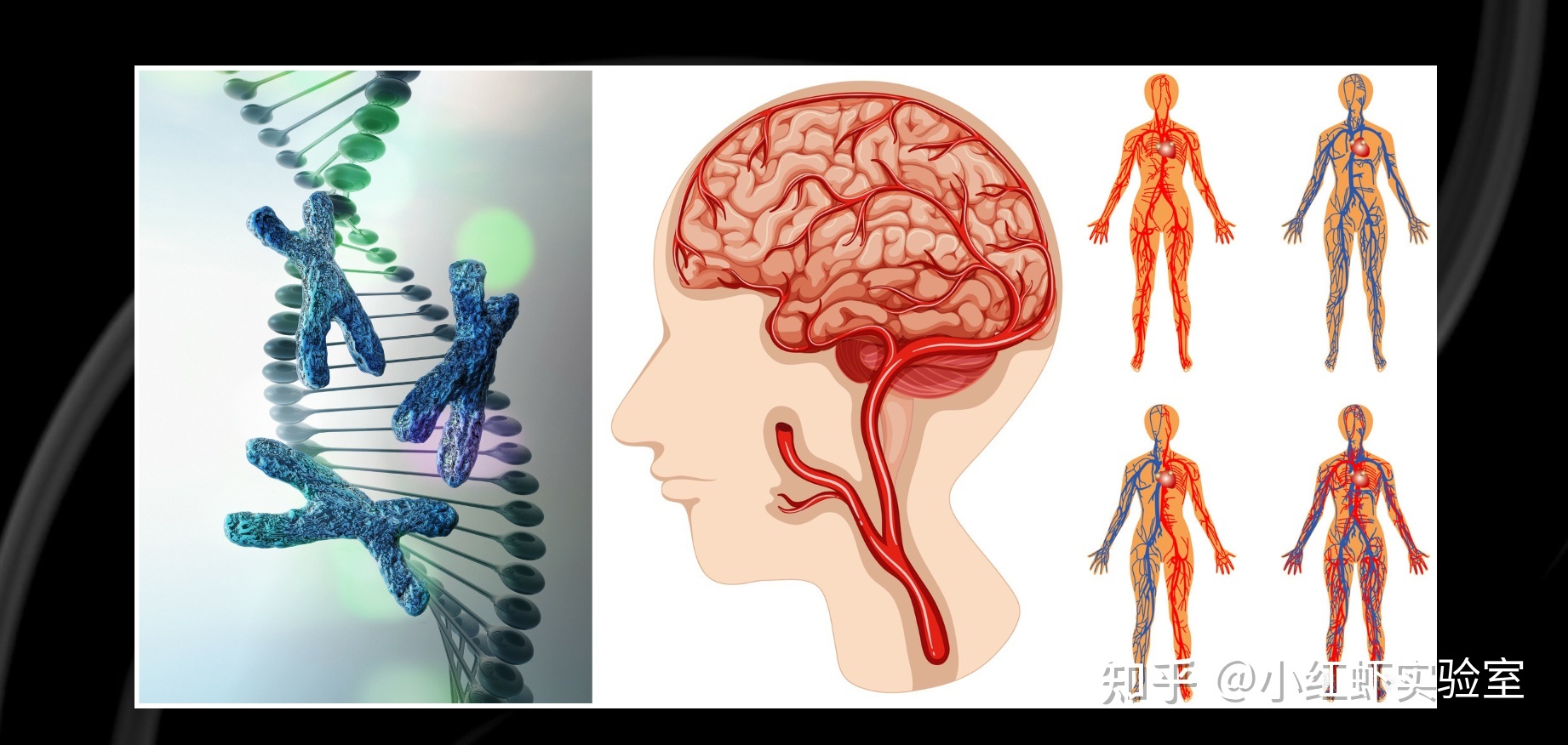宇宙密码：科学家发现神秘图形，或隐藏着生命的终极法则 ...363 / 作者:蠕行者 / 帖子ID:113889
