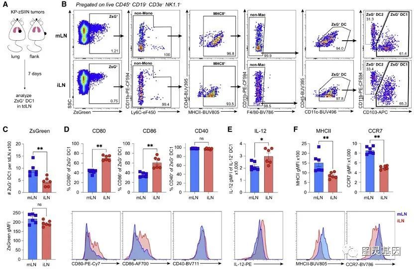 Immunity ｜ IFN-γ的组织特异性丰度驱动T细胞对肺癌的应答 ...793 / 作者:一抹笑颜甲 / 帖子ID:114013