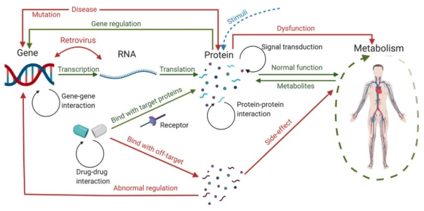 Nature子刊综述｜疾病建模和药物控制中的计算系统生物学662 / 作者:明功 / 帖子ID:114057