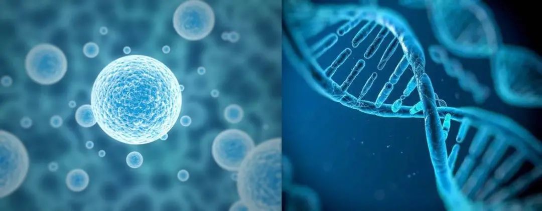 从兴趣到事业—清华神经生物学博士的学术之路187 / 作者:醉生三世生d / 帖子ID:114064