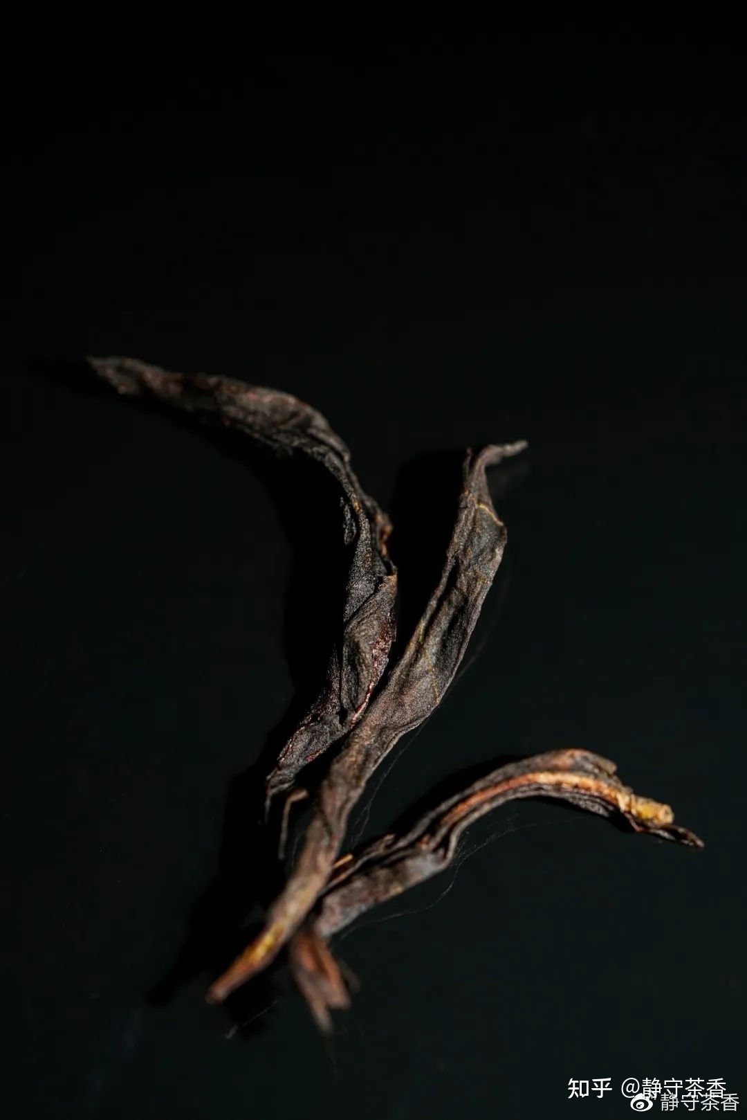 单丛茶的最佳储存方式543 / 作者:温润而哲 / 帖子ID:114326