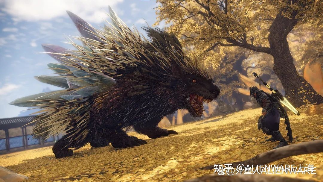 上海徐汇太平洋外星人推荐《狂野之心》人称小怪猎621 / 作者:涵涵爸爸520 / 帖子ID:114328