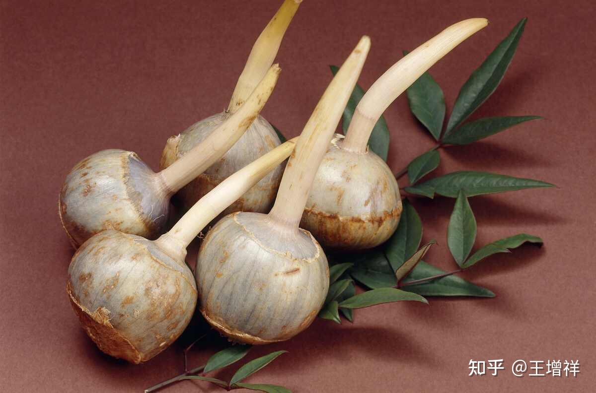 世界著名古都——北京市-58.jpg