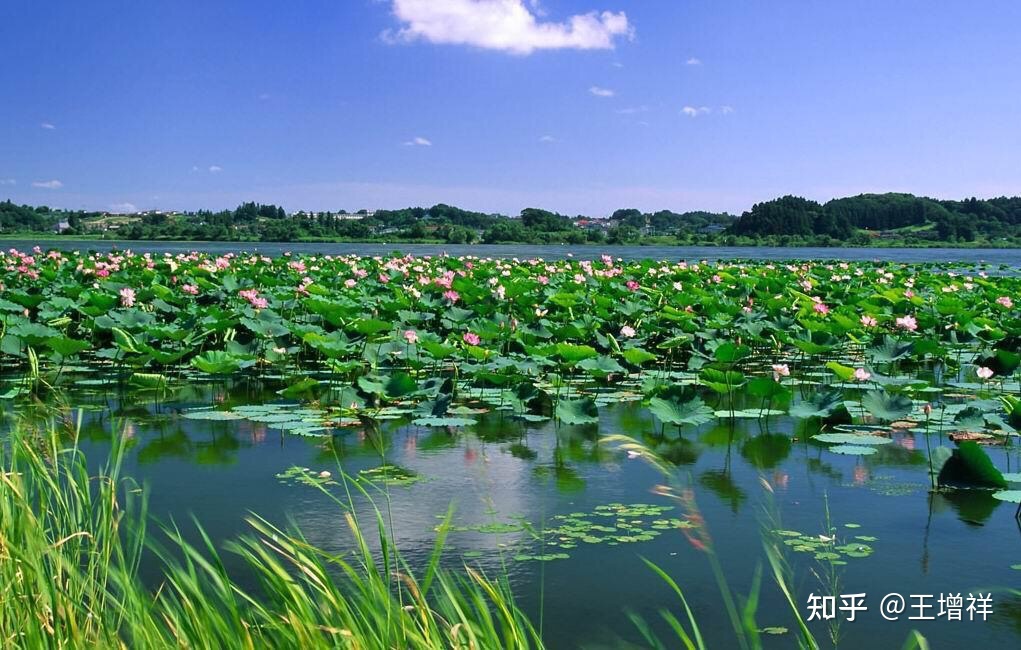 世界著名古都——北京市-49.jpg