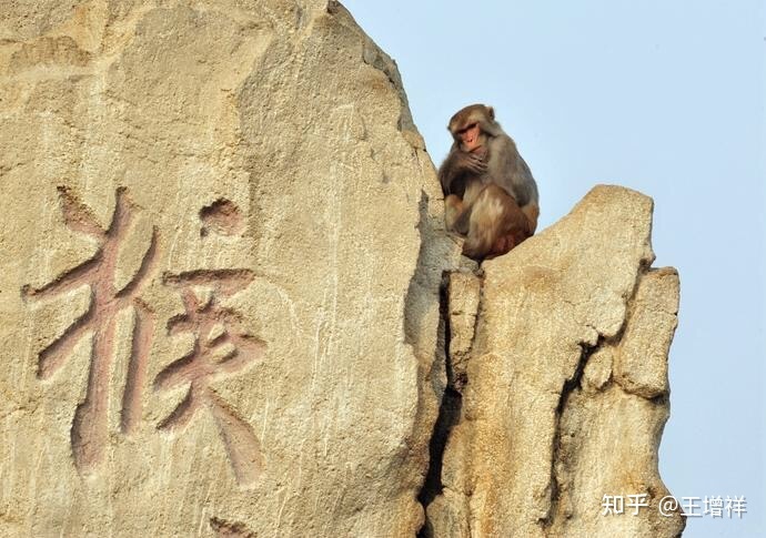 世界著名古都——北京市-206.jpg