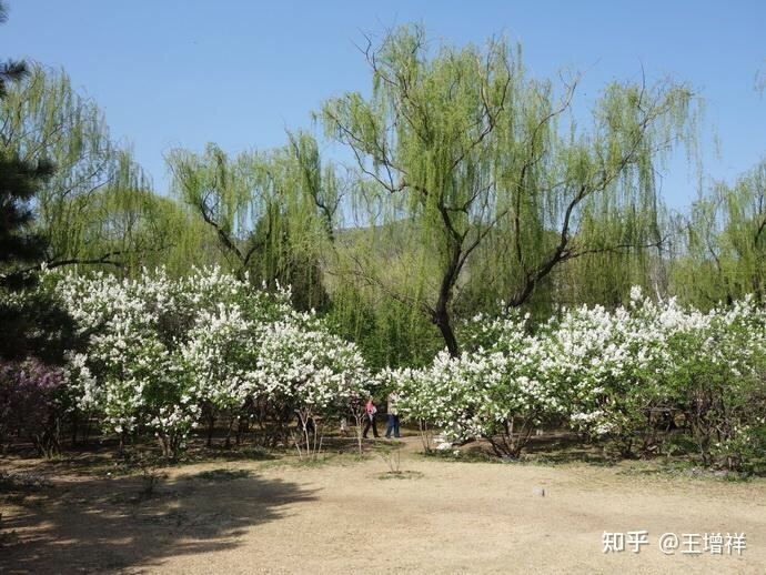 世界著名古都——北京市-210.jpg