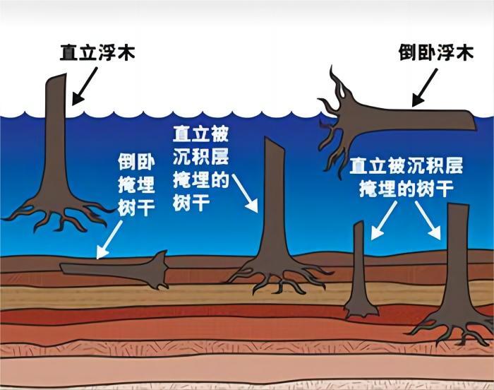 青海出现15万年前“工业痕迹”，证明地球文明在循环？真相 ...233 / 作者:worrysorry2017 / 帖子ID:114411
