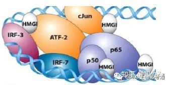 细胞生物学高频考点（十五）之染色质内容及思维导图957 / 作者:乐态思 / 帖子ID:114428