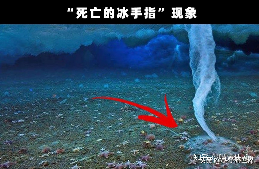 奇闻趣事：地球上发生的7个非常奇特和有趣的事情94 / 作者:wangsb02 / 帖子ID:114450