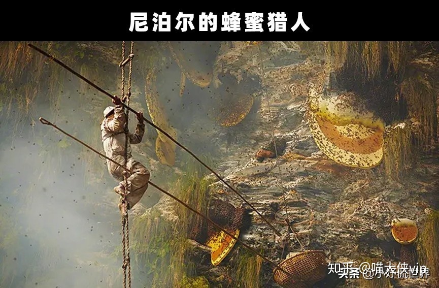 奇闻趣事：地球上发生的7个非常奇特和有趣的事情220 / 作者:wangsb02 / 帖子ID:114450