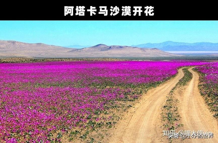 奇闻趣事：地球上发生的7个非常奇特和有趣的事情554 / 作者:wangsb02 / 帖子ID:114450