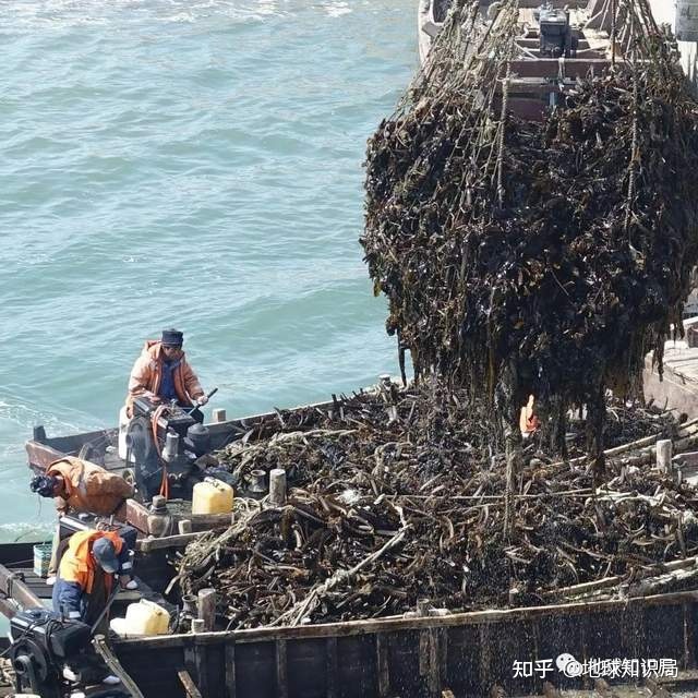 渤海，越来越小了 | 地球知识局32 / 作者:日啊驴吗厩 / 帖子ID:114475