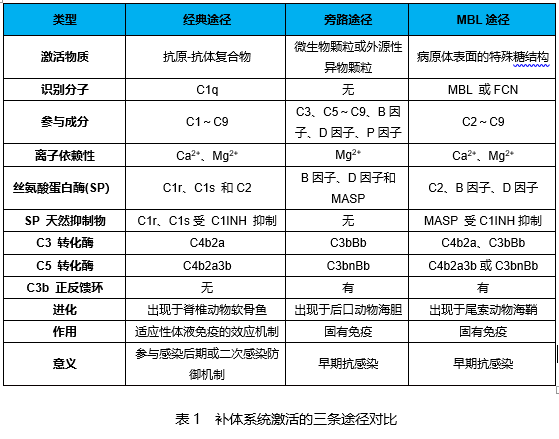 生物分析 | 生物标志物——补体(Complement）检测的生物学 ...916 / 作者:华为股票卖出矩 / 帖子ID:114479