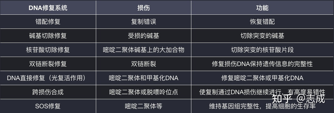「分子生物学」提纲 学习笔记 知识总结744 / 作者:大嘴997 / 帖子ID:114512