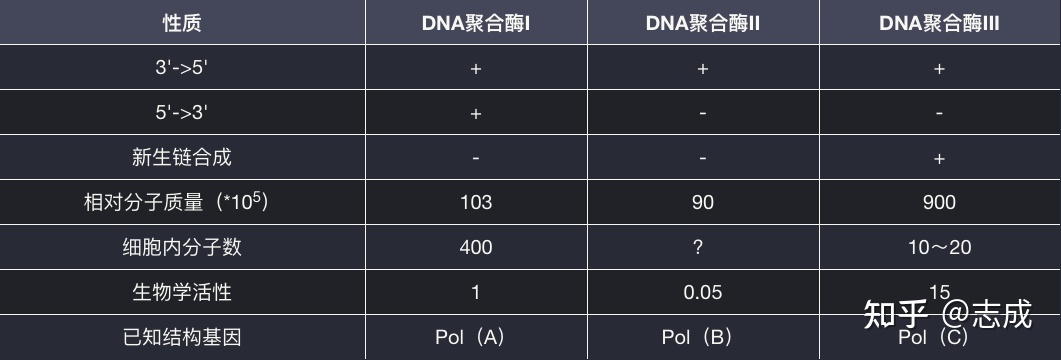 「分子生物学」提纲 学习笔记 知识总结986 / 作者:大嘴997 / 帖子ID:114512