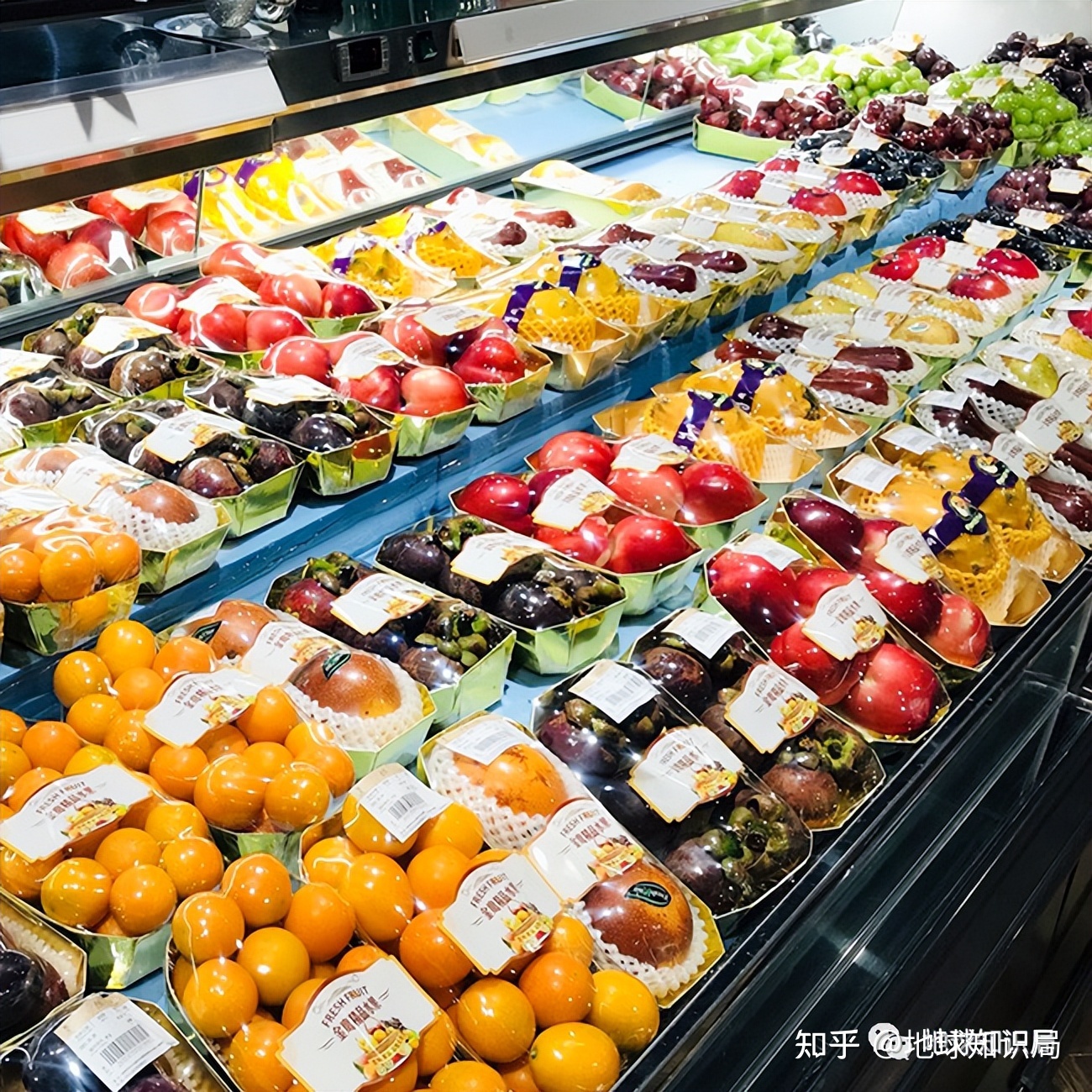 严肃谈谈食物“续命”这件事 | 地球知识局130 / 作者:李中文1 / 帖子ID:114573