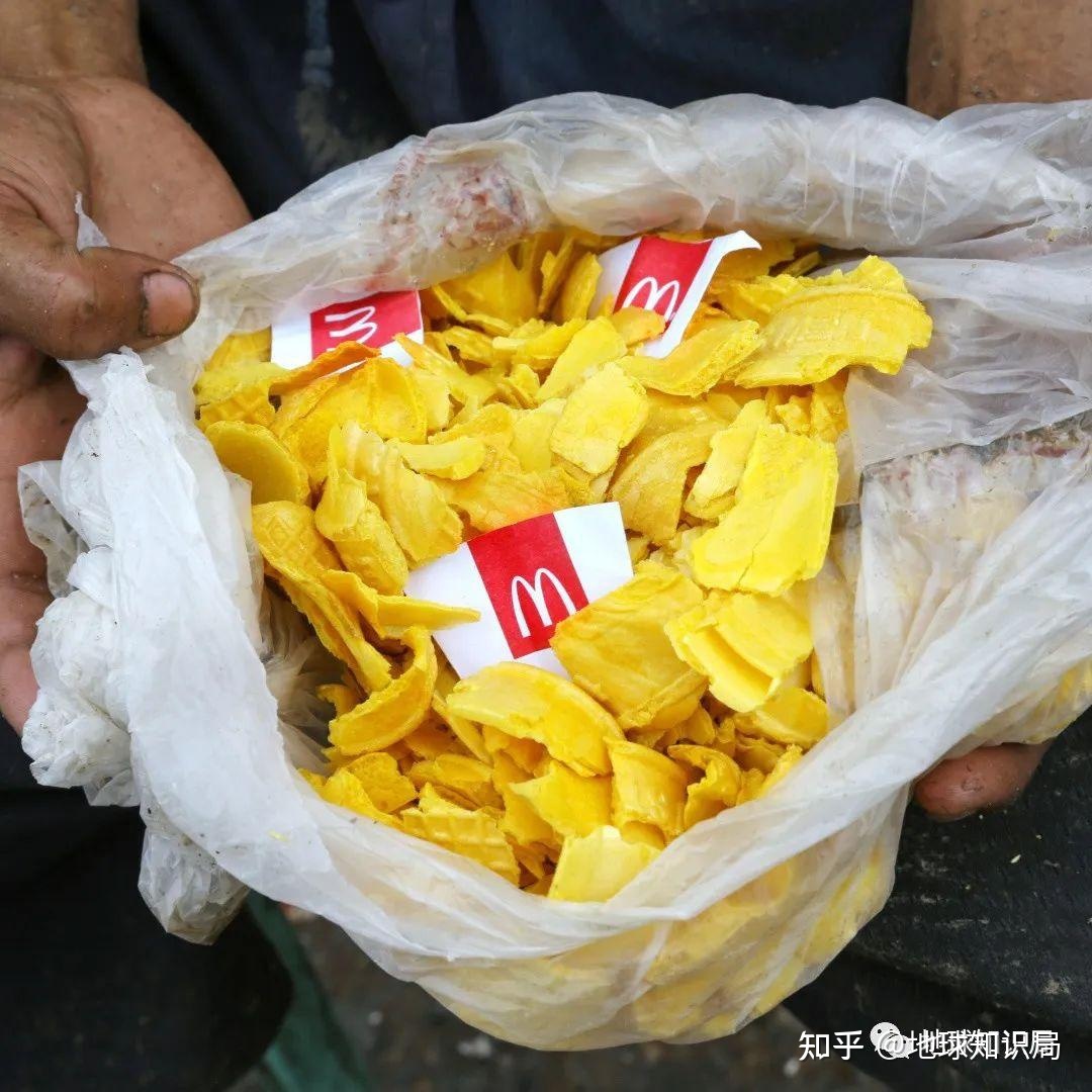 穷人为什么要吃垃圾？| 地球知识局531 / 作者:123458026 / 帖子ID:114579