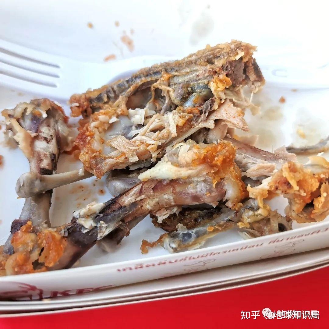 穷人为什么要吃垃圾？| 地球知识局617 / 作者:123458026 / 帖子ID:114579