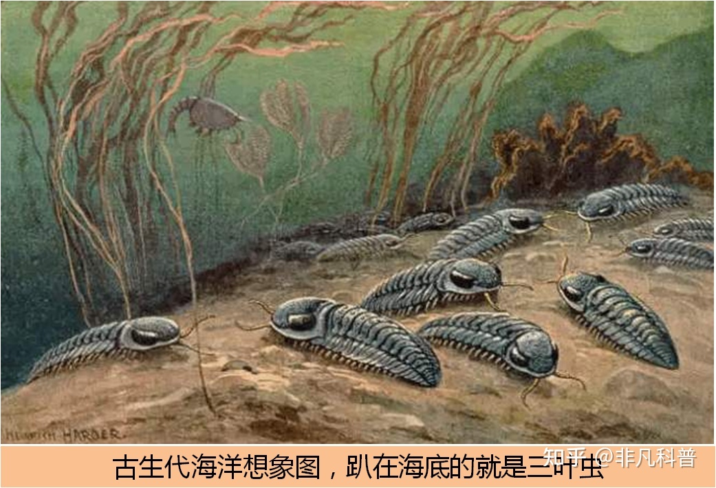 地球是如何形成与演化的？时间螺旋展示地球自大爆炸以来的 ...46 / 作者:15254714558 / 帖子ID:114595