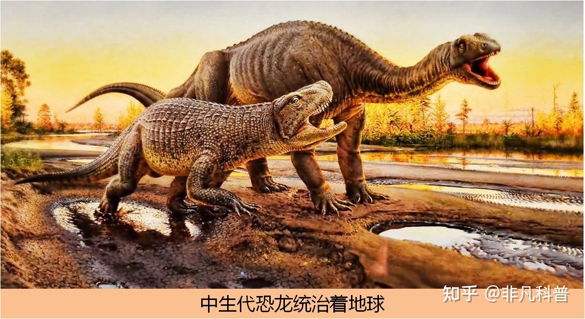 地球是如何形成与演化的？时间螺旋展示地球自大爆炸以来的 ...804 / 作者:15254714558 / 帖子ID:114595