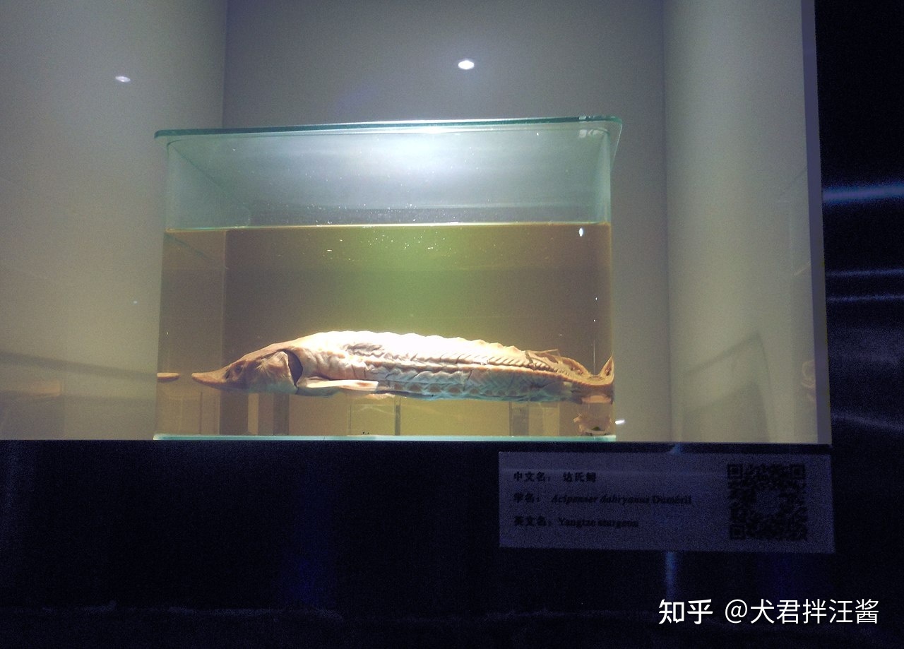 世界野生动植物日来了，过去一年动植物界发生哪些奇妙的事 ...697 / 作者:邓尔岚 / 帖子ID:114729