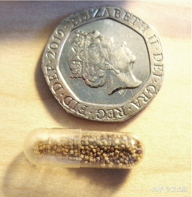 世界野生动植物日来了，过去一年动植物界发生哪些奇妙的事 ...755 / 作者:聪明牛得 / 帖子ID:114729