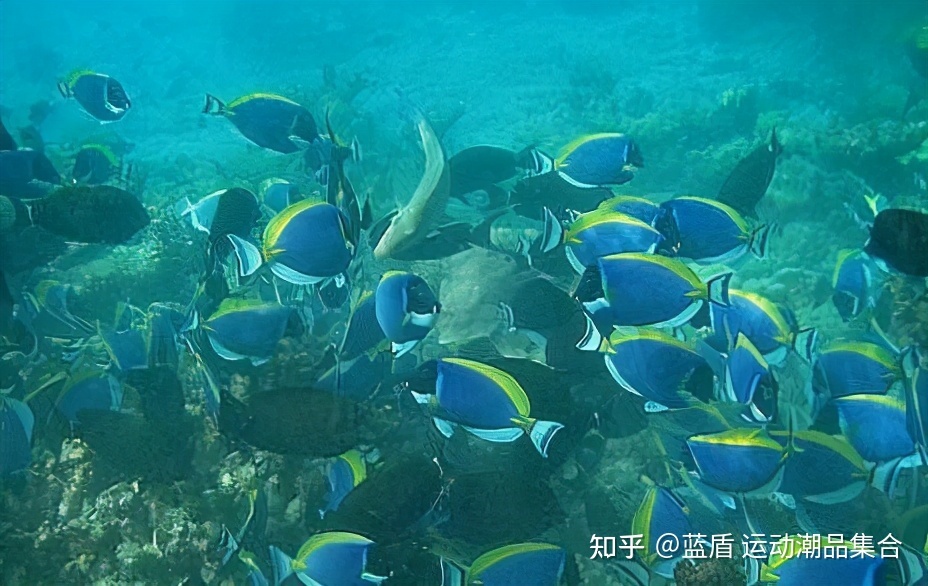 全球至今无法解释的10个神秘事件832 / 作者:mzbua44 / 帖子ID:114934