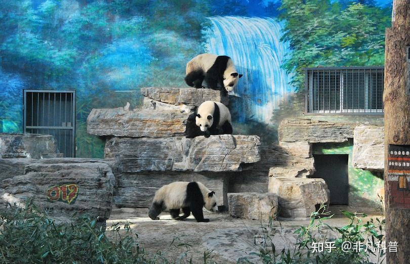 世界上最大的8个动物园，你参观过几个？104 / 作者:芳芳295 / 帖子ID:114935
